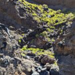 La Gomera trekking